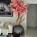 BlossoCore